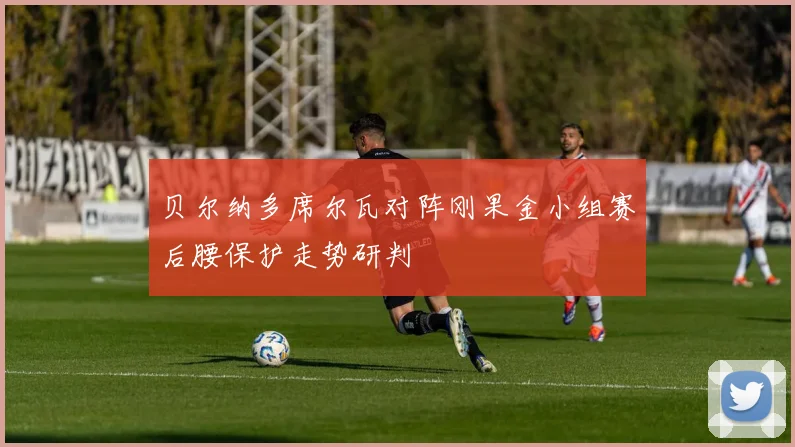 贝尔纳多席尔瓦对阵刚果金小组赛后腰保护走势研判