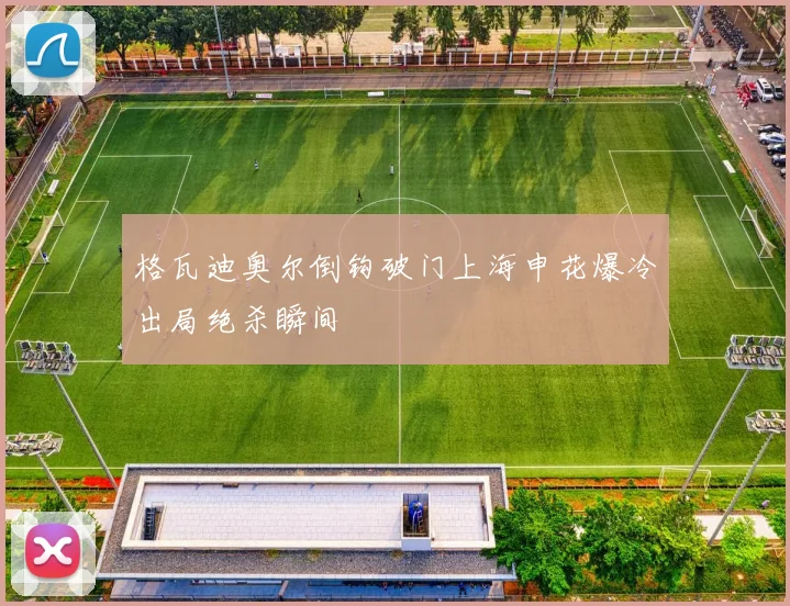 格瓦迪奥尔倒钩破门上海申花爆冷出局绝杀瞬间