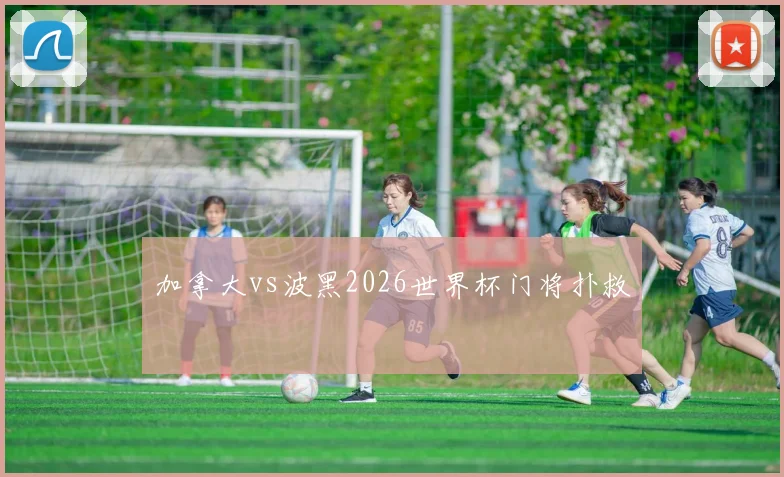 加拿大vs波黑2026世界杯门将扑救