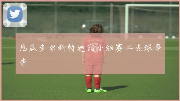 厄瓜多尔科特迪瓦小组赛二点球争夺