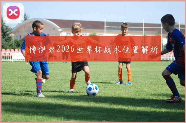博伊尔2026世界杯战术位置解析
