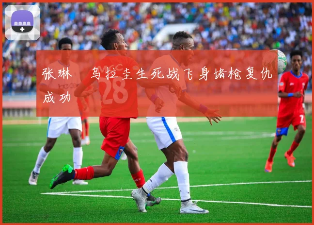 张琳芃乌拉圭生死战飞身堵枪复仇成功
