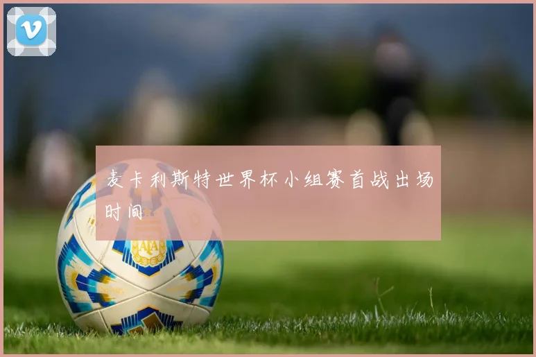 麦卡利斯特世界杯小组赛首战出场时间