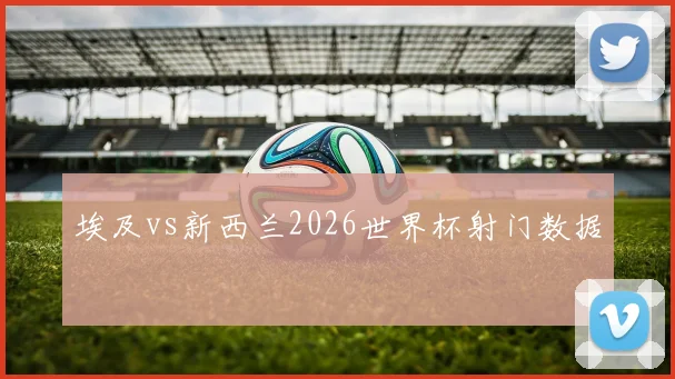 埃及vs新西兰2026世界杯射门数据