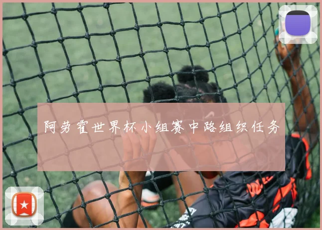 阿劳霍世界杯小组赛中路组织任务