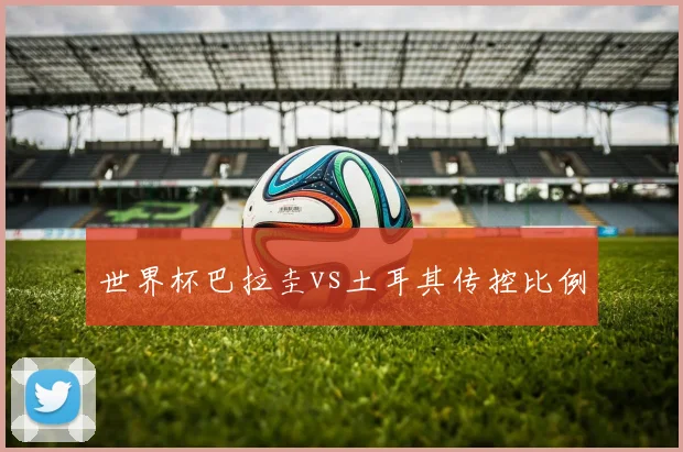世界杯巴拉圭vs土耳其传控比例