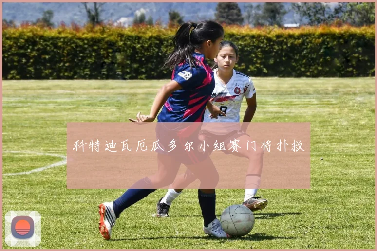 科特迪瓦厄瓜多尔小组赛门将扑救