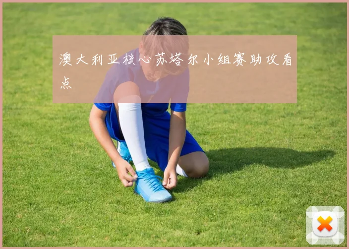 澳大利亚核心苏塔尔小组赛助攻看点