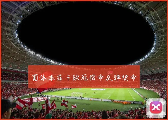 葡体本菲卡欧冠宿命反弹续命