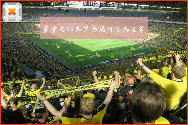 萨索洛vs弗罗西诺内伤病名单