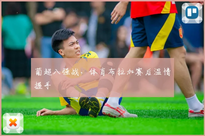 葡超八强战，体育布拉加赛后温情握手